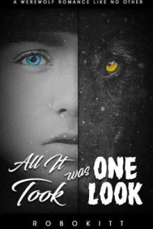 All It Took Was One Look (BoyxBoy) {Book1: Blue Moon Series}[Sample](On Amazon!)