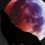 Cries Of Wolf Book 1 (Boyxboy) (Editing/Rewriting In Progress)