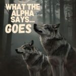 What The Alpha Says…Goes (boyxboy) Bk 1