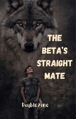 The Beta’s Straight Mate (boyxboy) Bk 2
