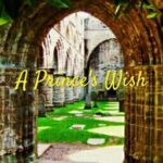 A Prince’s Wish (boyxboy)