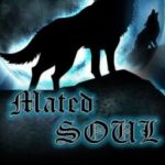 Mated SOUL [BoyxBoy 1D Fanfic]