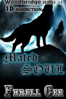Mated SOUL [BoyxBoy 1D Fanfic]