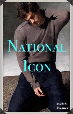 National Icon (BoyxBoy)