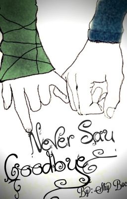 Never Say Goodbye (boyxboy) Poster