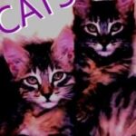 It All Started With Cats (boyxboy)