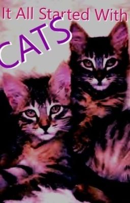 It All Started With Cats (boyxboy)