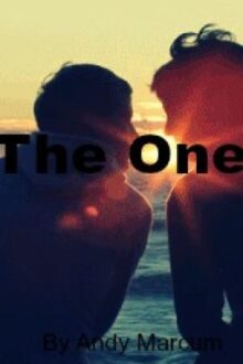 The One (boyxboy)