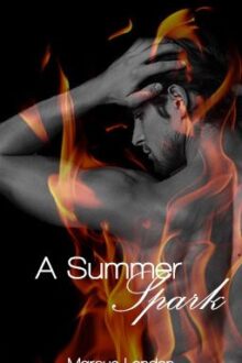 A Summer Spark – A BoyxBoy Story