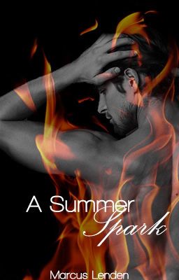A Summer Spark – A BoyxBoy Story