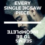 Every Single Jigsaw Piece (Ziam Au) (boyxboy)