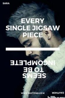 Every Single Jigsaw Piece (Ziam Au) (boyxboy)