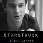 Starstruck – Shawn Mendes / boyxboy
