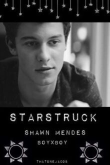 Starstruck – Shawn Mendes / boyxboy