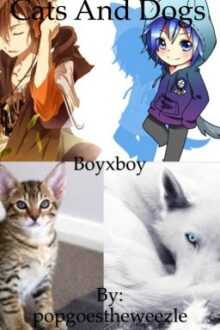 Cats and dogs (boyxboy)