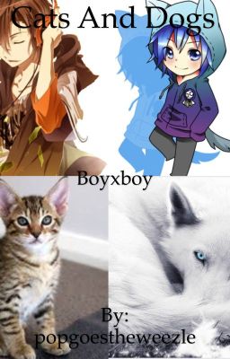 Cats and dogs (boyxboy) Poster