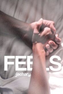 FEELS – wdw boyxboy oneshots