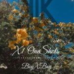 X1 OneShots (BoyxBoy)