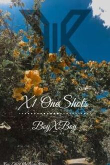 X1 OneShots (BoyxBoy)