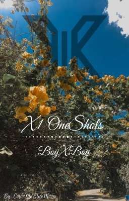 X1 OneShots (BoyxBoy) Poster